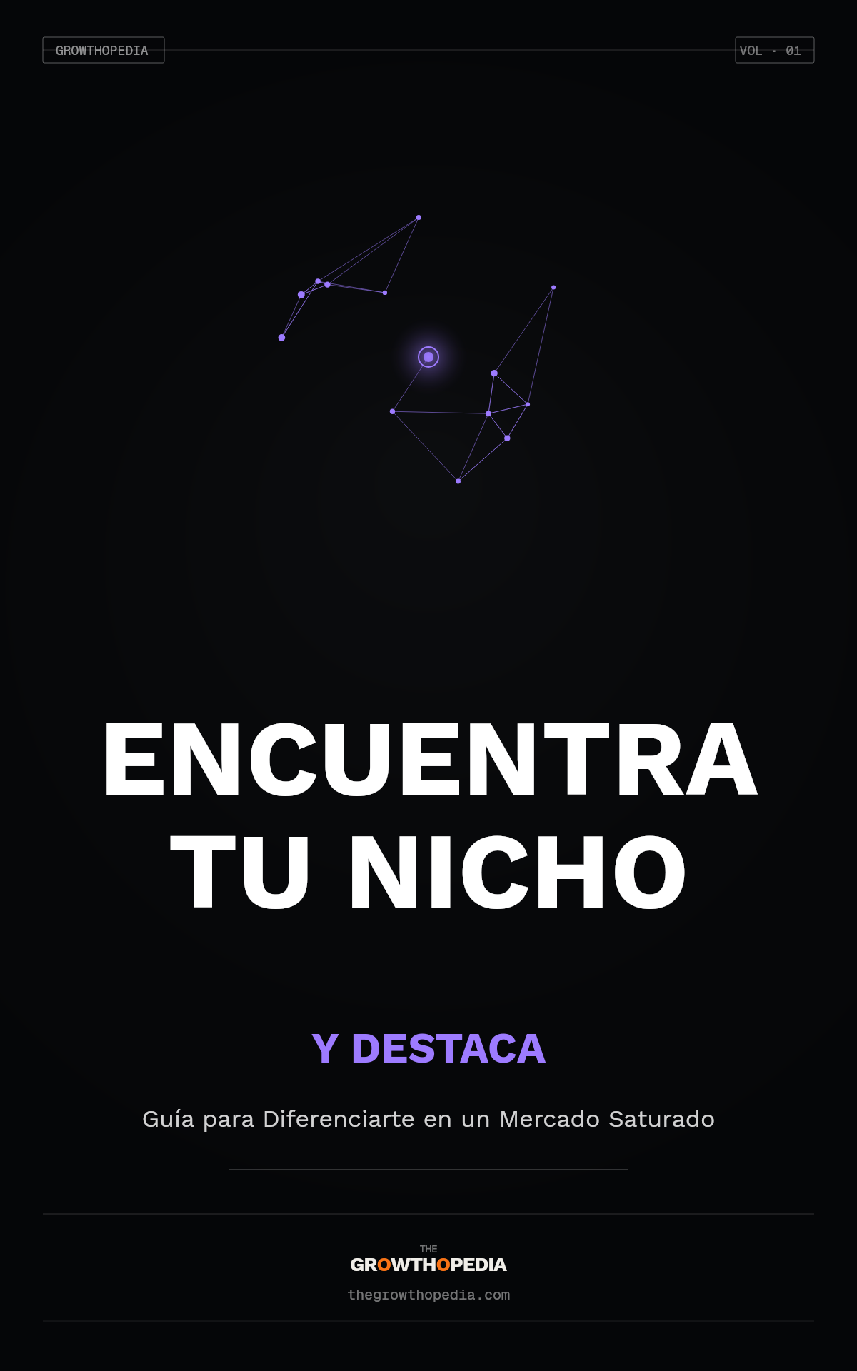 Encuentra Tu Nicho y Destaca